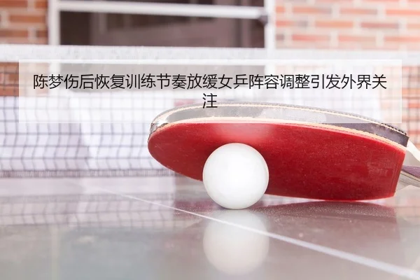 陈梦伤后恢复训练节奏放缓女乒阵容调整引发外界关注